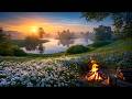 12H Morning Meadow Campfire Spring Nature Sounds Relaxation Deep Sleep And Focus Ambience 