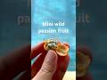 Mini wild passion fruit #trending #trendingshorts #food #cooking #fruit #cool #tasty