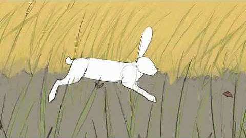 Rabbit Run Cycle Test 2