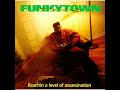 Funkytown Pros – Reachin' A Level Of Assassination – CD (Album