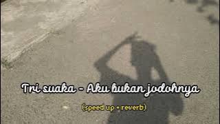 Download lagu Tri suaka - Aku bukan jodohnya (speed up reverb)