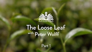 The Loose Leaf with Peter Wolff - Camellia Sinensis - Part 1