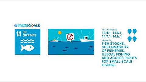 SDG 14 -  Indicators of fish stocks, sustainability of fisheries, and illegal fishing
