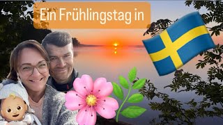 Ein Frühlingstag bei uns in Schweden ☀ 10 Min Schweden Feeling in der Natur #auswandern