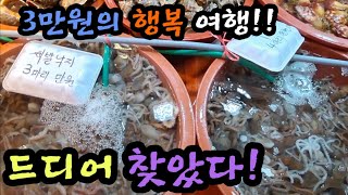 소래 포구 재래 어시장. 세상의 문어 , 낙지, 전어  모두 만원? 이건 꼭 보셔야 합니다!! South Korean Fish Market Channel