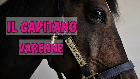 Quanto tempo occorre per imparare ad andare a cavallo?