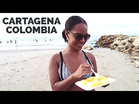 A Lil Thick Colombian Shawty Fed Me Pineapples On Hollywood Beach In
