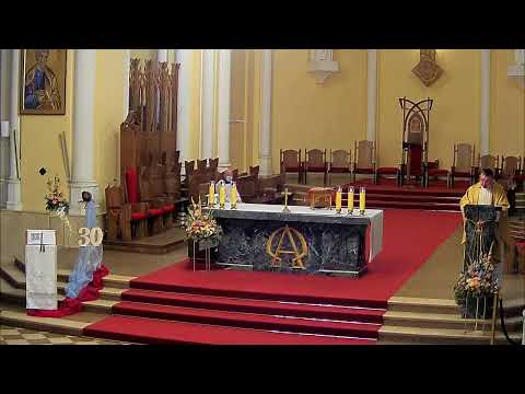 Wideo: Katedry Irlandii: Katedra Chrystusa