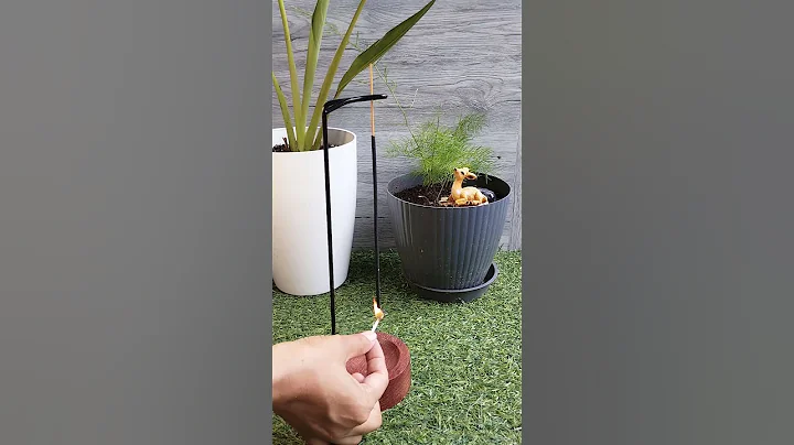 Incense holder with wooden stand #meesho #meeshohaul #meeshofinds #meeshoshopping