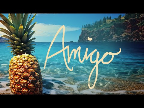 Why Mona - amigo (DEMO)