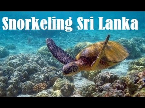 Sri Lanka Snorkeling - YouTube