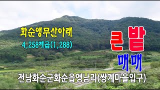 🏕22-166[전남화순군지역토지][화순읍앵남리땅]🏞도시지역,자연녹지지역,가축사육제한구역,개발제한구역,밭(1,288py)매매~