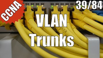 CCNA/CCENT 200-120: VLAN Trunks 39/84 Free Video Training Course