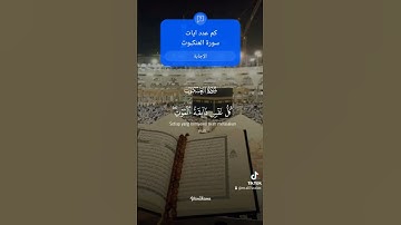 بسم الله ماشاء الله صوت جميل وتلاوه رائعه