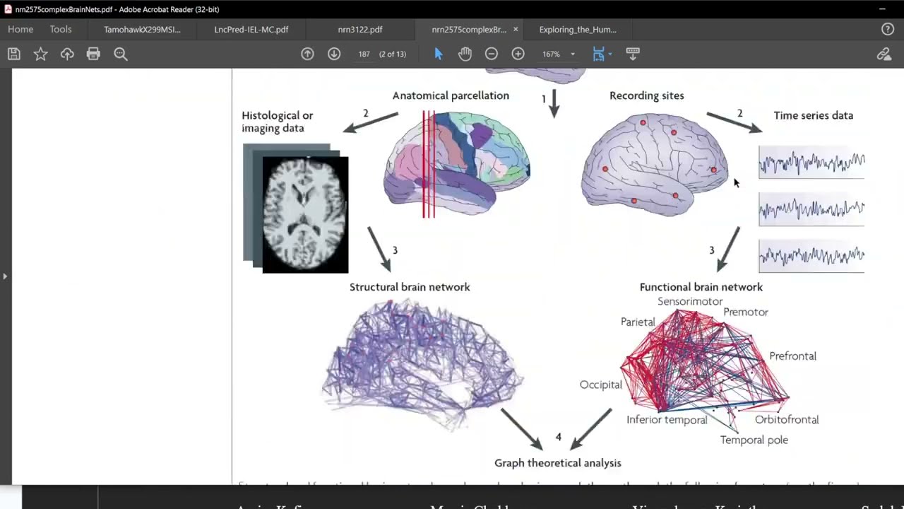 Complex brain networks: graphtheoretical analysis of structural andfunctional systems
