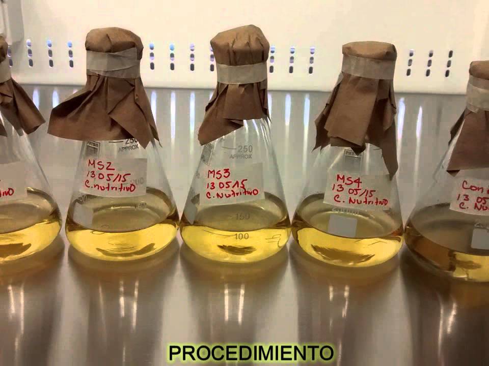 Video tutorial de Técnica para determinación de cloruros - YouTube