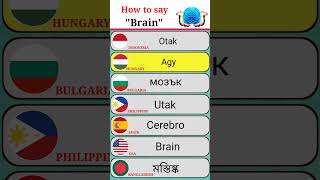 How To Say BRAIN in different countries with Voice