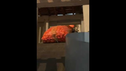 Boost Cold Storage Efficiency with Belt Conveyor Systems | Quick Guide & Benefits | Neo Conveyors