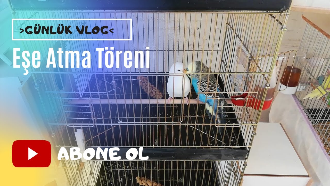 Erken Eşe Atma Töreni Yaptık ve Sezonu Erkenden Açtık