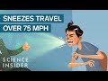 How Contagious Is A Single Sneeze? - YouTube