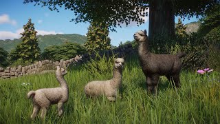 Planet Zoo (PC)(English) #175 6 Minutes of Alpaca (Barnyard Animal Pack DLC)