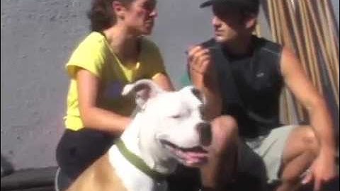 Diablo vs. One World