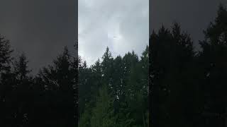 Ebird Flying Toy Bird Review Awesome