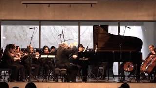 J.S. Bach Harpsichord Concerto 1 in D Minor  Mikhail Arkadev National Chamber Orchestra of Armenia
