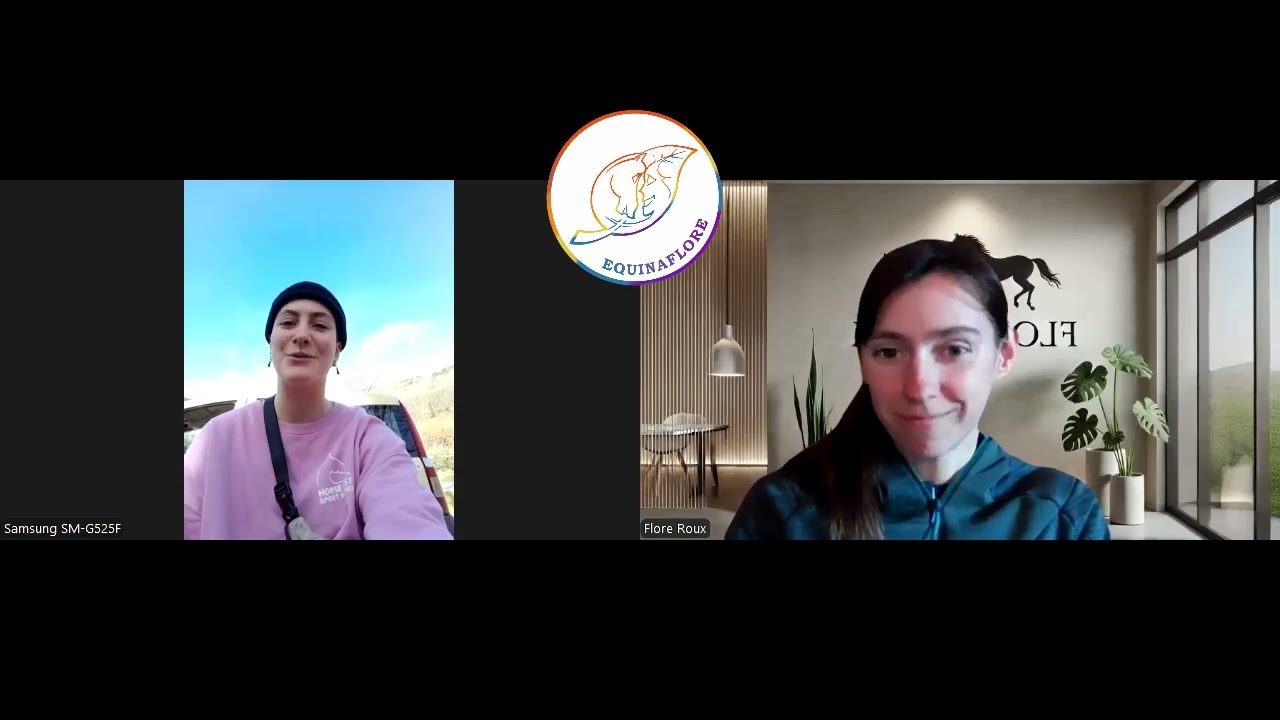 De la stagnation à la clarté : ce que le cadre change vraiment dans le travail avec son cheval