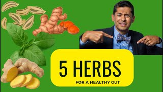The top 5 HERBS for your gut!