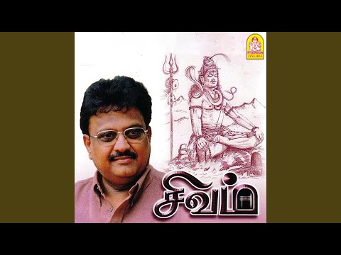 சிவமயமாகதெரிகிறதே பாடல் | Sivamayamaga Song| subamAudioVision #shivansongs #devotionalsong #spbsongs