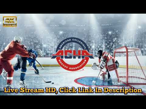 M1 University of Delaware vs Robert Morris University 🔴 𝐋𝐈𝐕𝐄 2023 ACHA Men's Ice Hockey