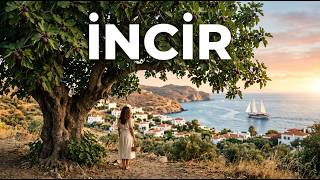 İnci̇r (Ai Cover) Türk Müzai