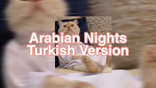Arabian Nights / Turkish Version Resimi