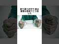 赤信号を無視し、ノーブレーキで突撃!自分勝手な行動の代償を、何の罪もない母子に背負わせたことは絶対に許されない#事件#事故