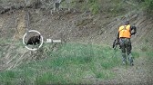 Handgun Bear Hunt @ Stephan Lake Lodge - YouTube