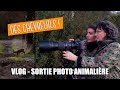 VLOG - SORTIE PHOTO ANIMALIÈRE pour débutants : Des chevreuils proches de la ville ! Avec Nathalie