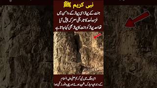 جنت کے پہاڑ اسی پہاڑ کے دامن میں غزوہ اُحد کا تاریخی معرکہ پیش آیا تھا احد پہاڑ کو جنتکا#ghawth#urdu
