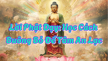 Lời Phật Dạy Học Cách Buông Bỏ Để Tâm An Lạc – Bí Quyết Xóa Sạch Mọi Khổ Đau Phiền Muộn