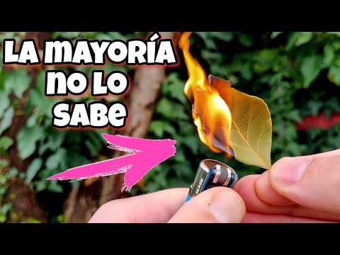 Video: Mi laurel de montaña está perdiendo sus hojas: razones por las que se caen las hojas del laurel de montaña