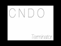 DJ CNDO "Terminator"