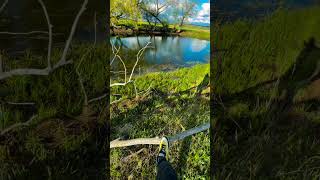 #walking #spring #nature #naturelovers #relaxing