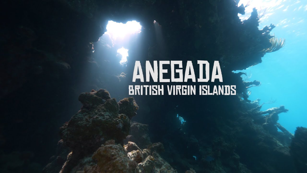 Ancient Shipwreck Discovery in ANEGADA, BVI -Shane O dives