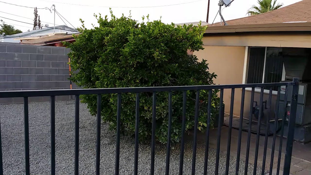 975 Rental 2550 Madison Ave Yuma, Az. Gated Pool RV Parking YouTube