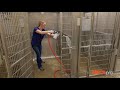 Deep Cleaning For Dog Kennels