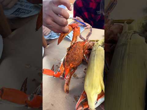 How Do Baltimore People Eat Blue Crabs? — Ocean City, Maryland How Do Baltimore People Eat Blue Crabs? — Ocean City, Maryland