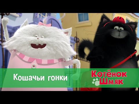 Видео: Котенок Шмяк 