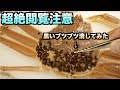 超絶閲覧注意！！カニの甲羅の"黒いブツブツ"潰したら寄生虫がにょろっと飛び出てきた！！