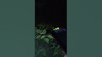 Catching a demon on EMF