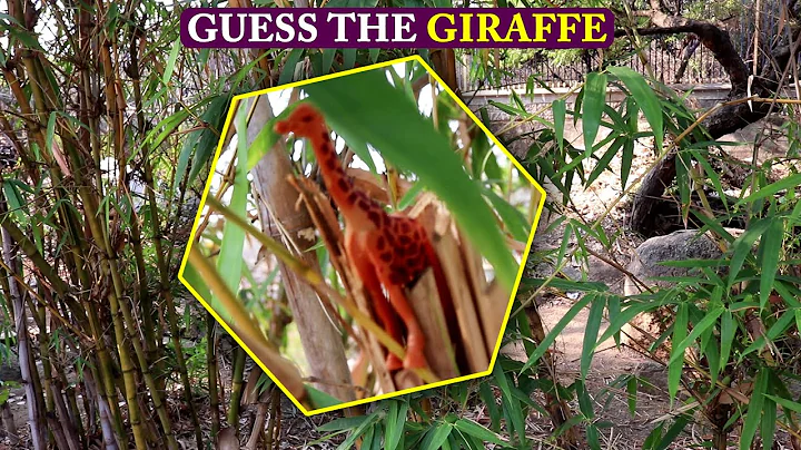 Find all the Hidden GIRAFFE  Hidden Optical Illusions Genius Brain Teasers GUESS GIRAFFE Most FAIL B